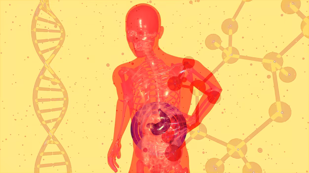 The Link Between Belly Fat in Men and Insulin Resistance — And How Semaglutide Helps