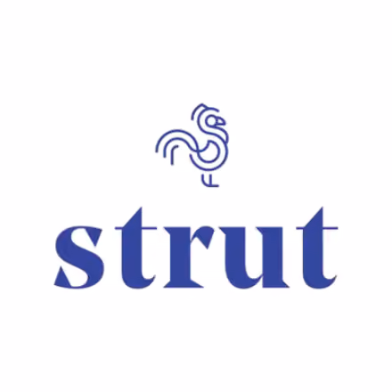 Strut Health Maintenance Plan