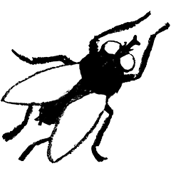 Fly hover