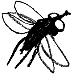 Fly flap