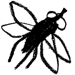 Fly default