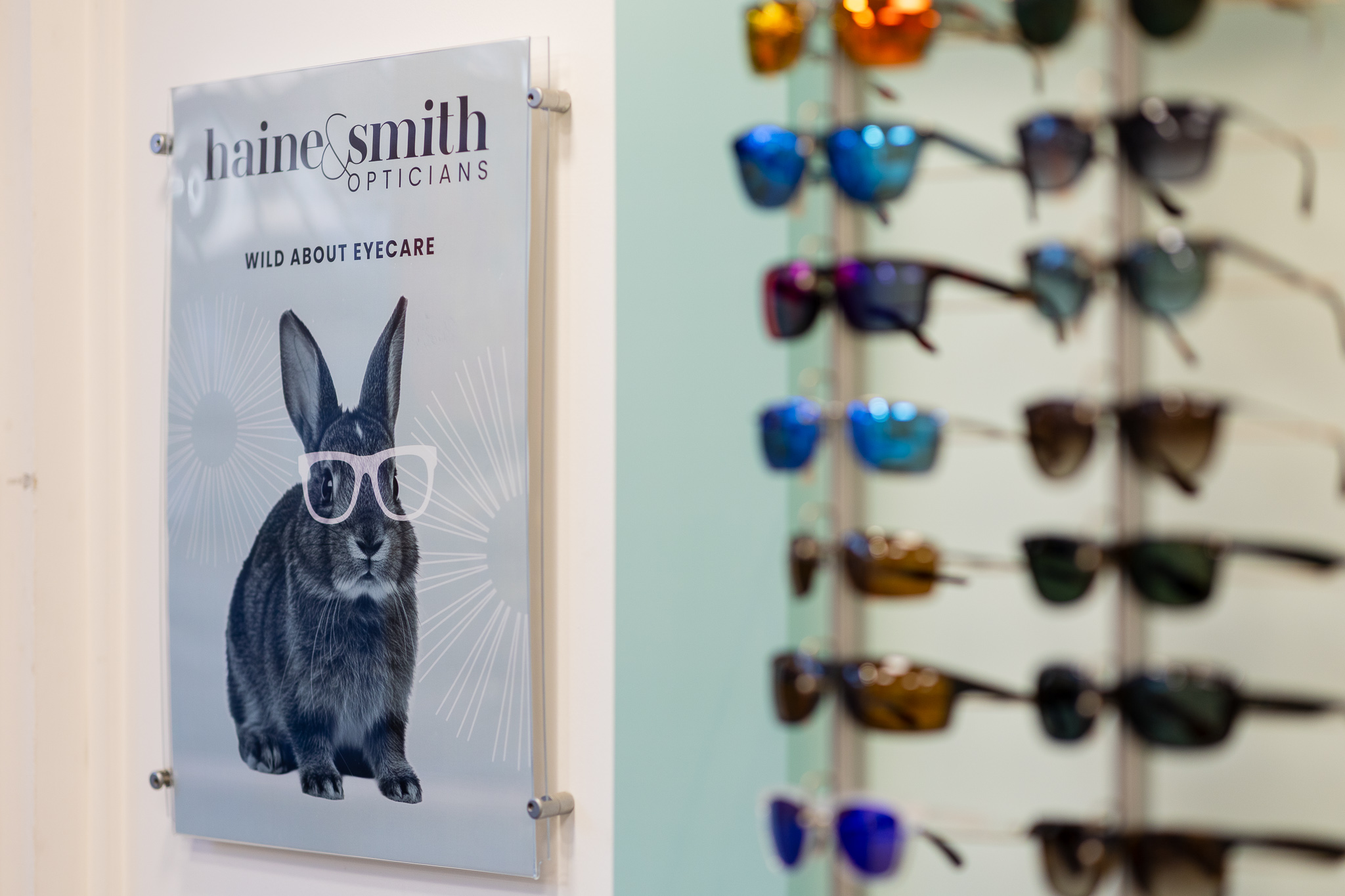Poster of a rabbit wearing white glasses and text 'haine&smith OPTICIANS WILD ABOUT EYECARE' by sunglasses display.