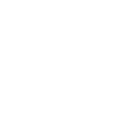 Strategus Consulting - Multidisciplinary capabilities icon