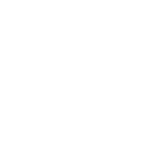 Strategus Consulting - Industry expertise icon