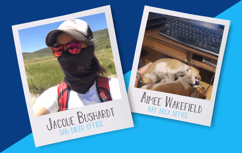 Guida Shelter in Place Photo Contest Winner