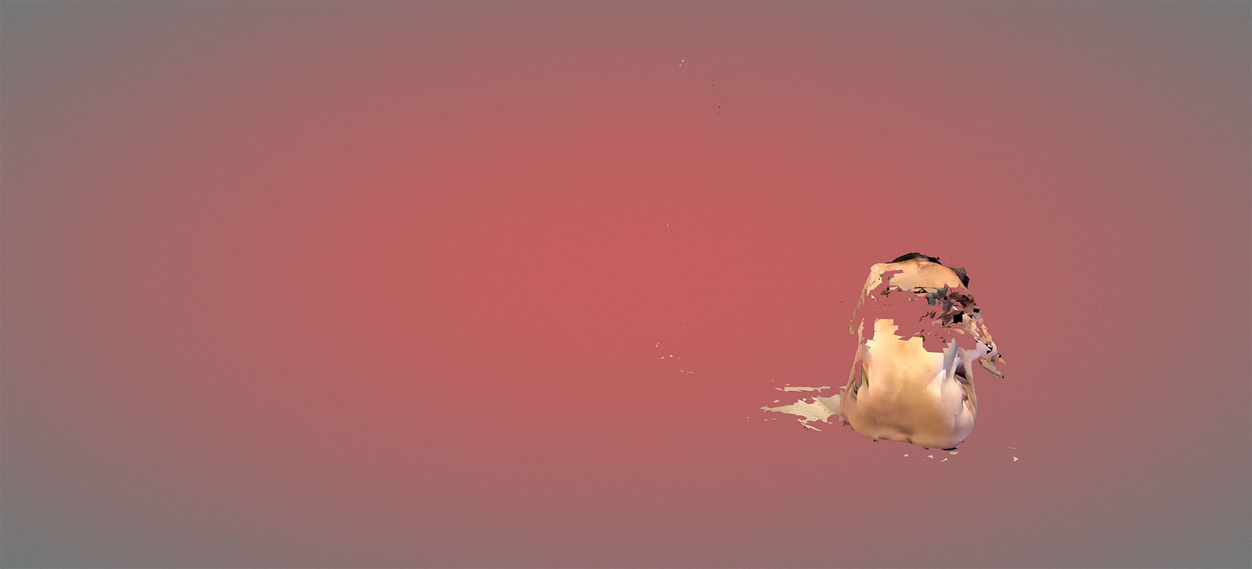 Mirror 1, 2022, digital image, 20” x 9”