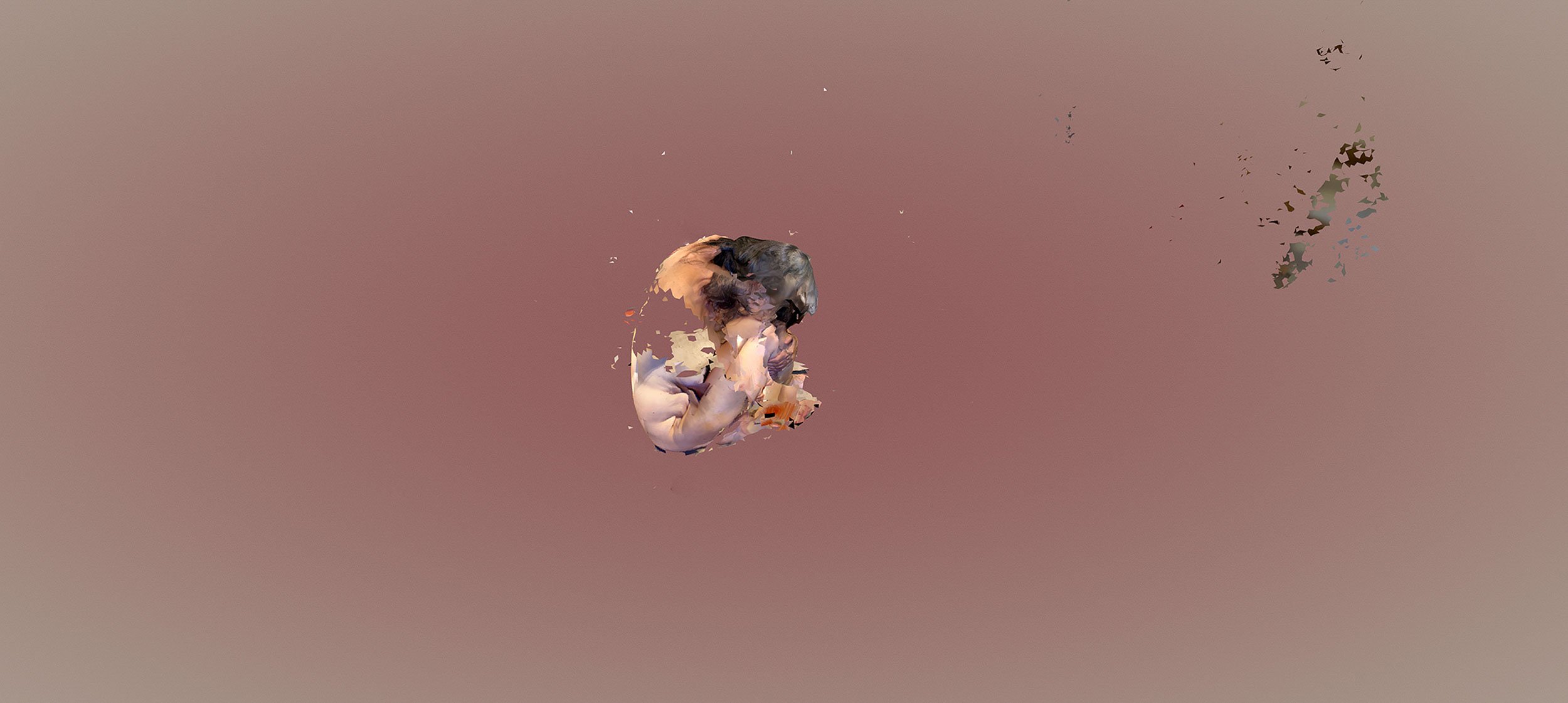 Mirror 7, 2022, digital image, 20” x 9”