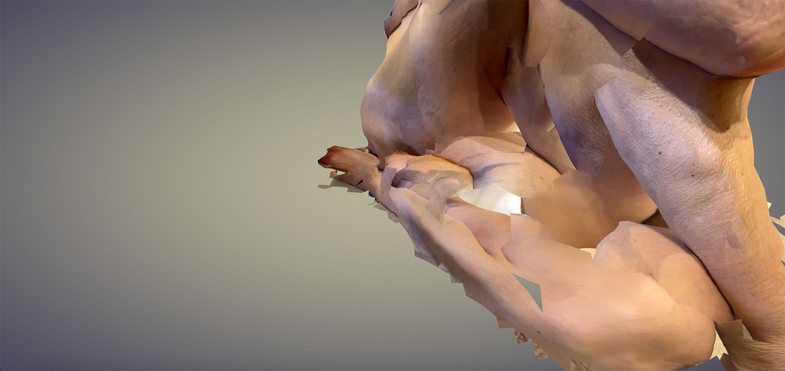 Mirror 10, 2022, digital image, 20” x 9.5”