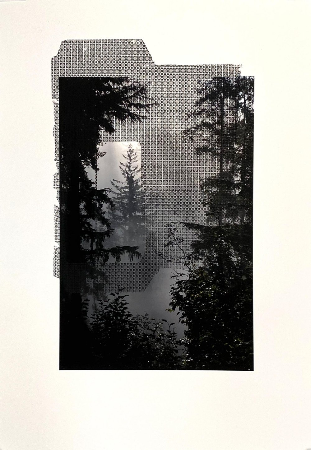 Unauthorized Keep Archival pigment print and toner transfer, 13 x 19", 2020