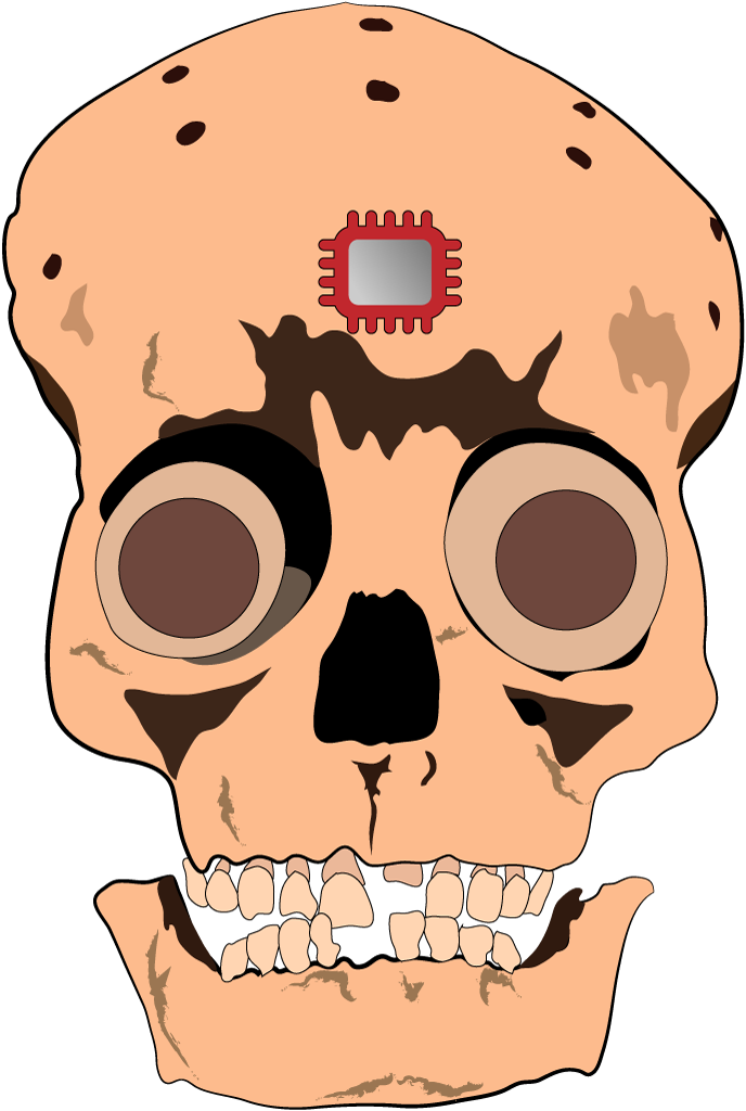 Skull, digital illustration from esfuerzo