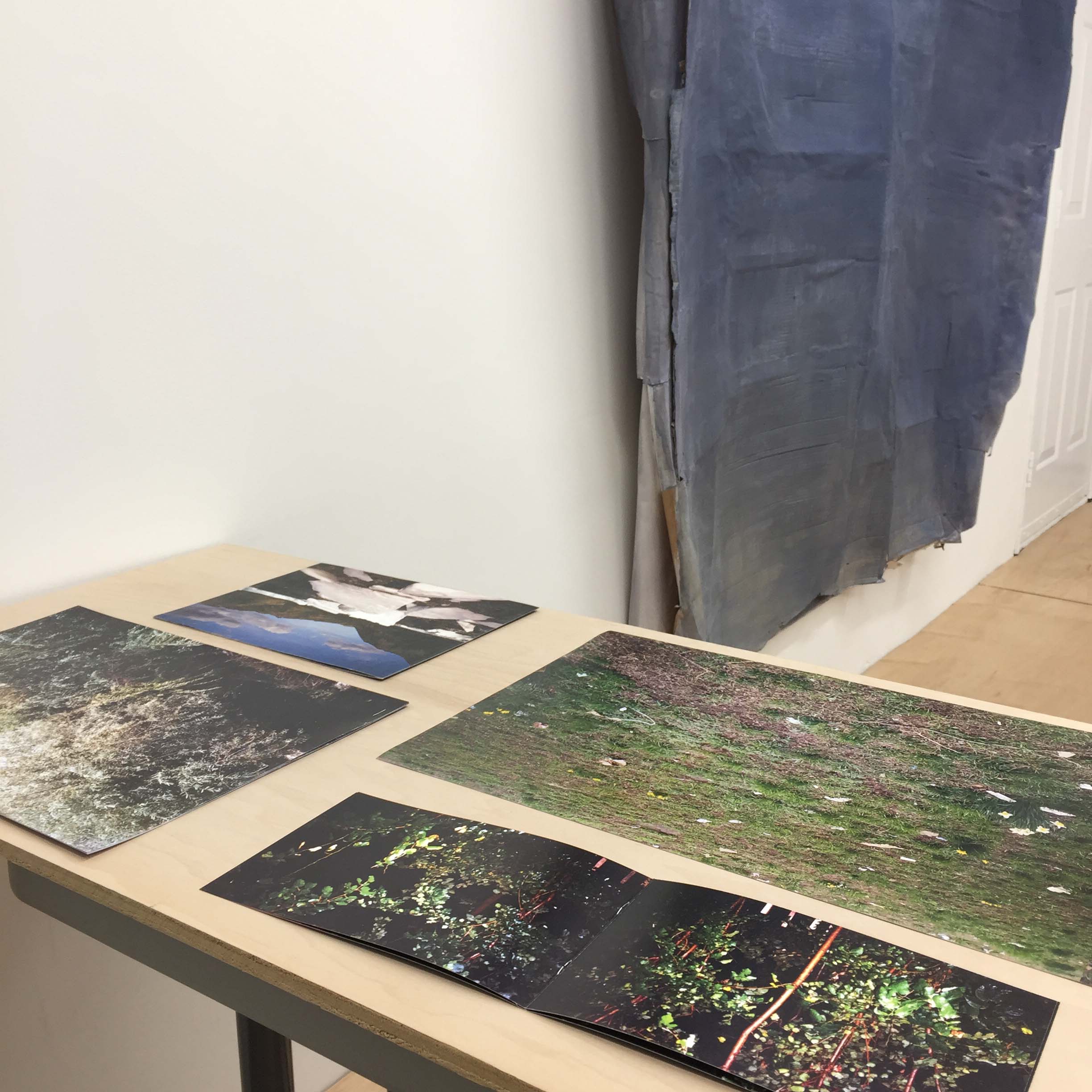 Opening Reception, Plexus Projects, Brooklyn, NY