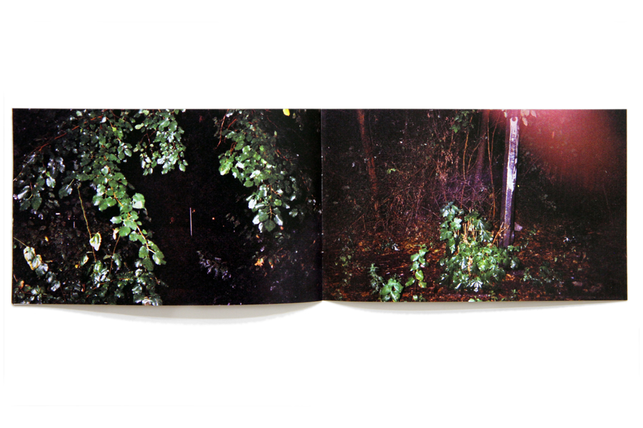 Wet Night. Laser print, staple bound. 12.5 x 20.5 cm / 8" x 5". eight pages. Published in Brooklyn, NY. 2010.