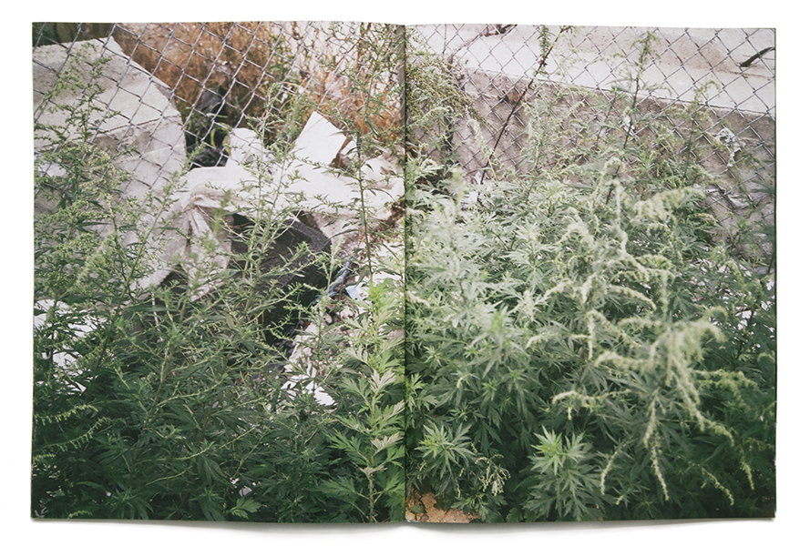 Rippling. Laser print, glue bound. 27 x 34 cm / 10.75" x 13.5". eight pages. Published in Brooklyn, NY. 2017.