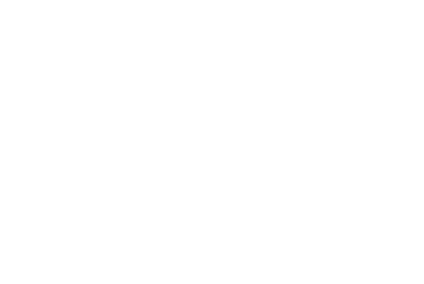 Der Reisser