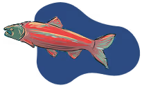 A fish that is swimming in the water.