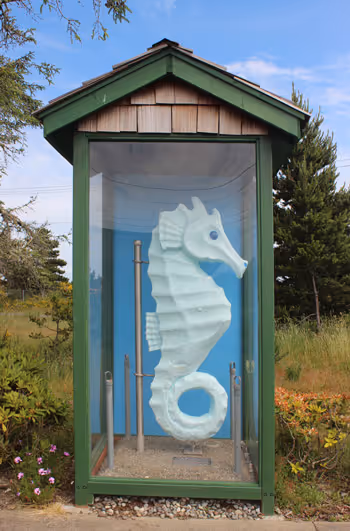 A large sea horse in a glass display case.