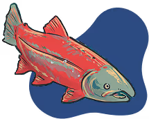 An illustration of a fish