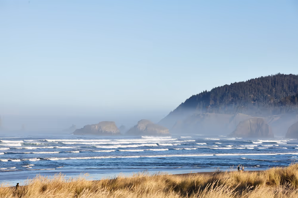 A view of a beach with a mountain in the background.