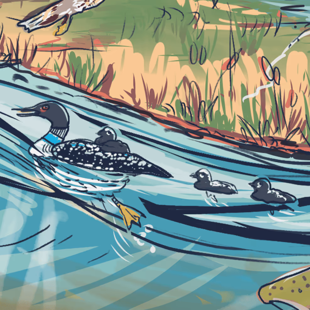 A painting of ducks swimming in the water.