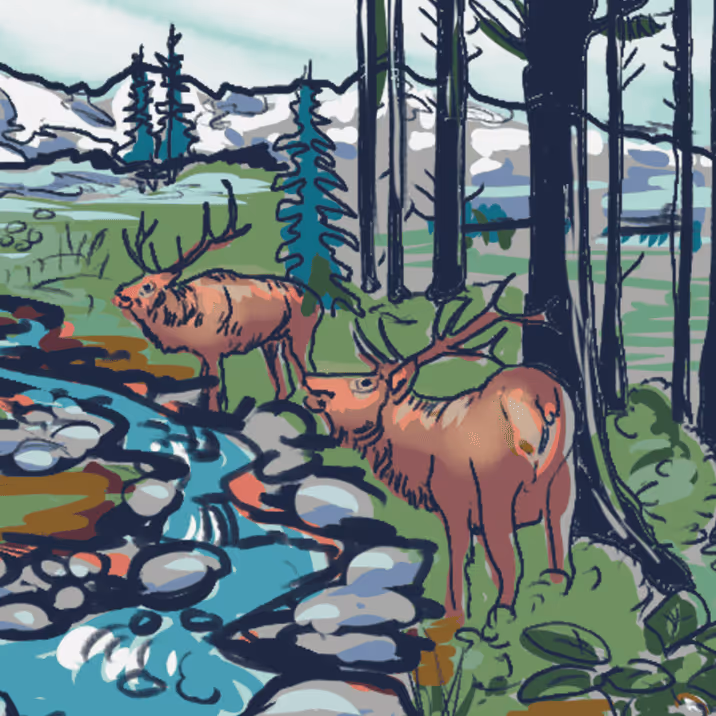 Two elk standing next to each other in a forest.