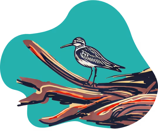 A bird sitting on a branch of a tree.