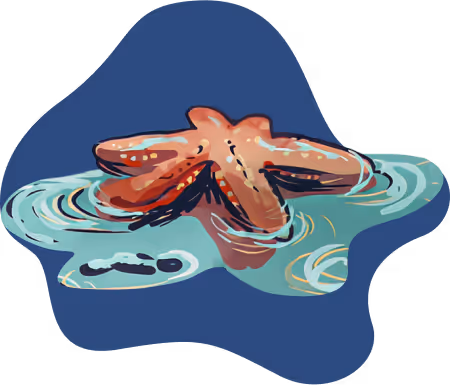 An octopus swimming in a body of water.