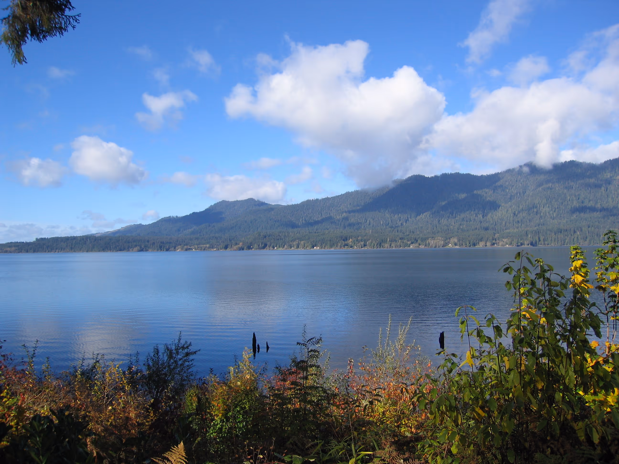 Lake View