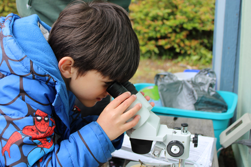 Students Serving in Science