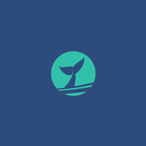 Barn Swallows