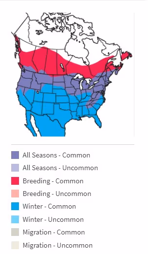 Cedar Waxwing range map