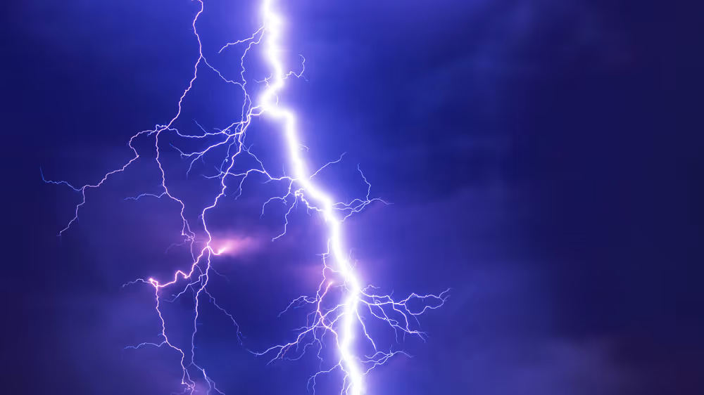The Truth About Petrified Lightning