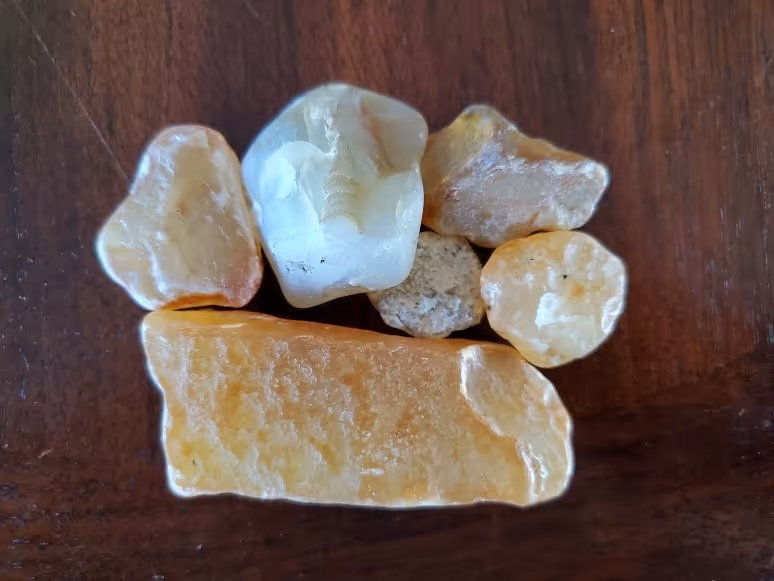 Geology of Rocks: Treasures From the Beach and Where They Come From