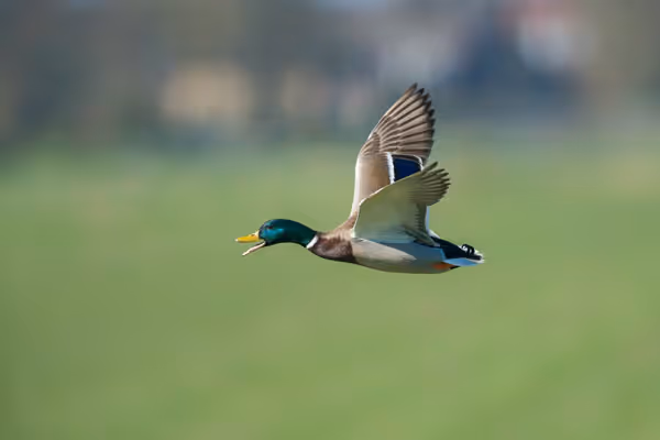 Takeoffs and Landings