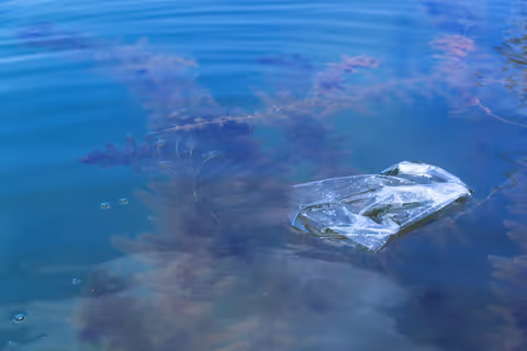 North Pacific Gyre, or How the Great Pacific Garbage Patch was Formed