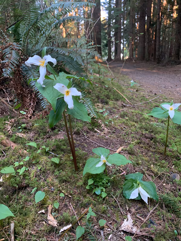 10 Signs of Spring