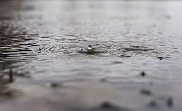 Effects of Flooding on the Natural World