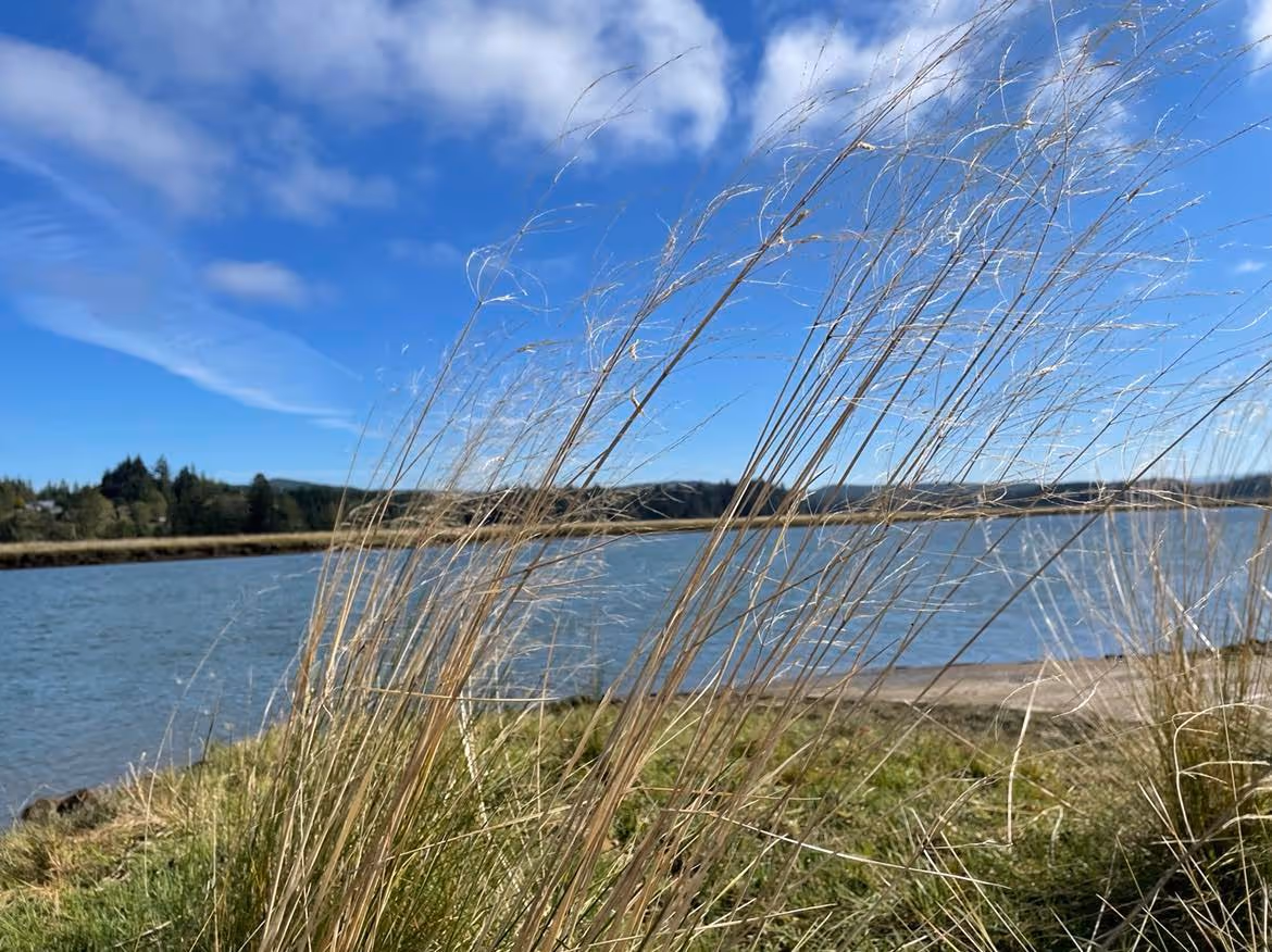 Central Willapa Bay Watershed