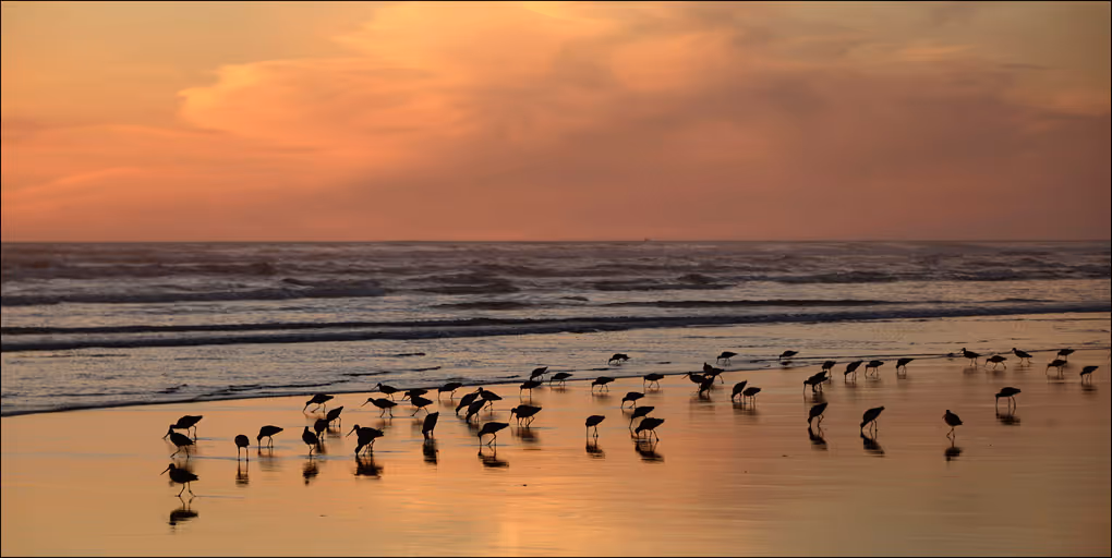 Copalis Beach