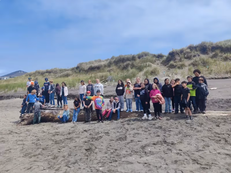 Shorebird Education Program