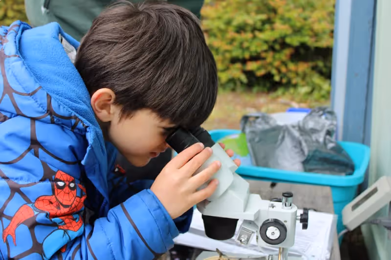 Students Serving in Science