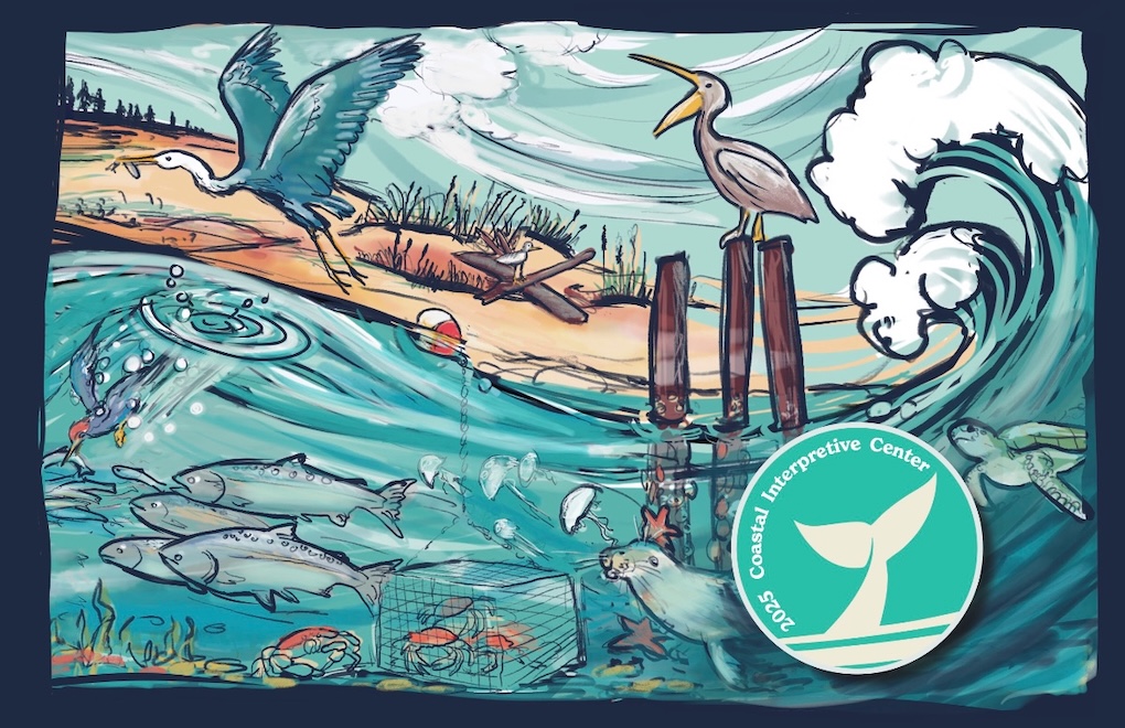 2025 Annual Impact Report