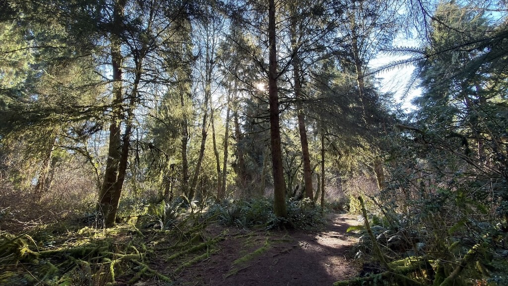 Tidelines: March 2026