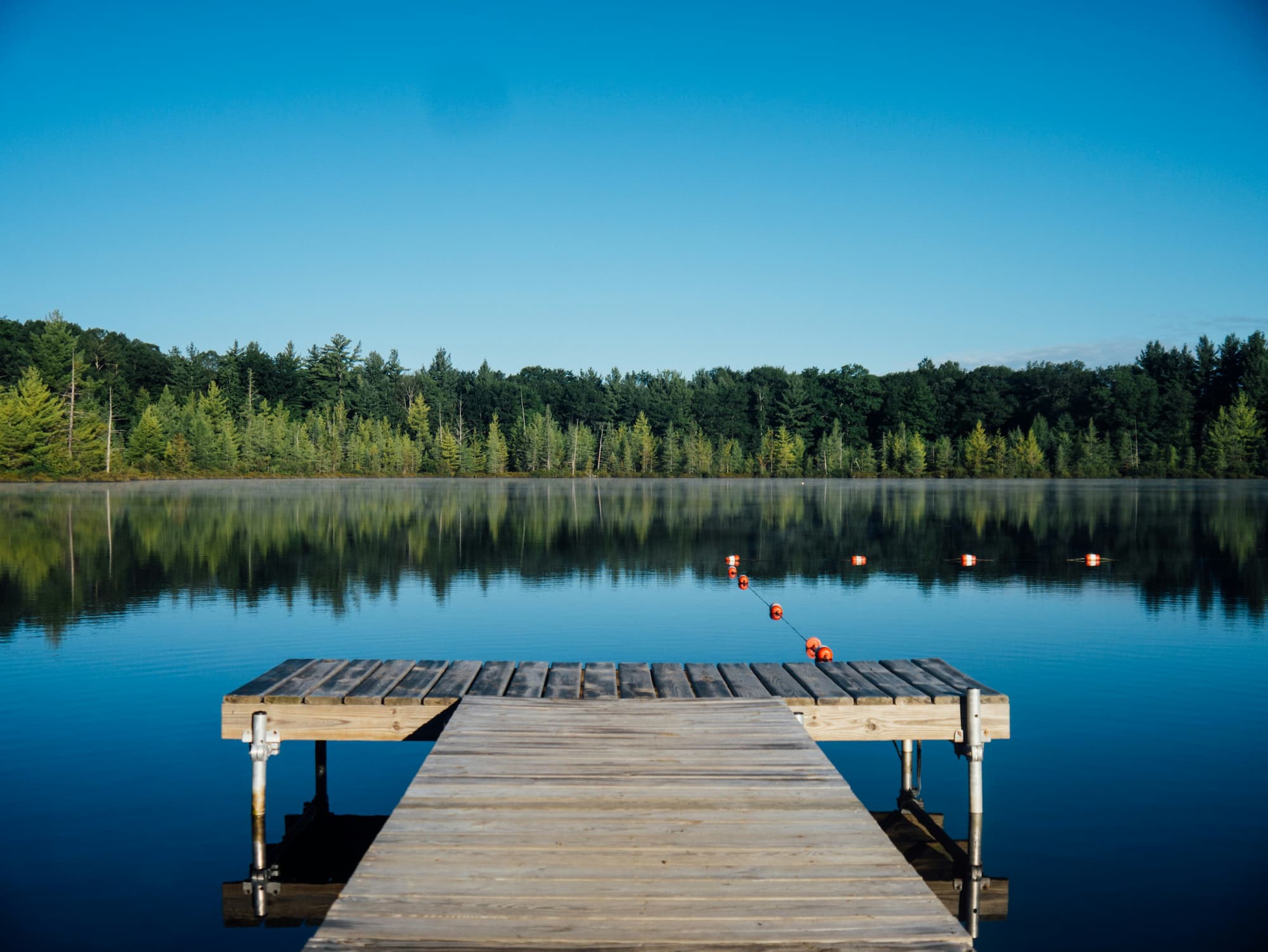 Algae-free pond/lake view with a dock and treeline. Image depicts water restored by sustainable, ultrasonic algae control and biofilm removal, replacing chemicals in water treatment.