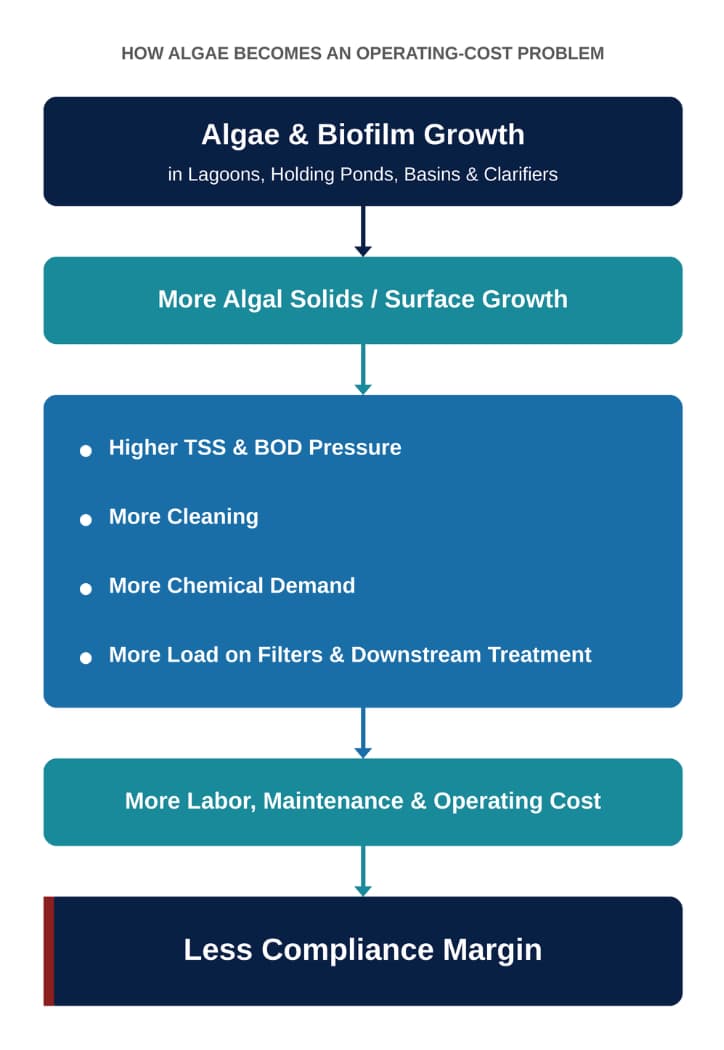 How algae becomes an operating-cost problem flowchart