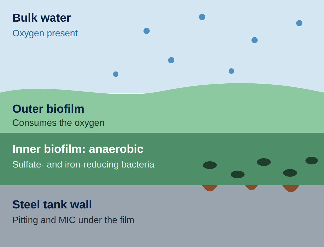 Cross-section of a biofilm layer on a steel tank wall: oxygenated bulk water on top, an outer biofilm layer that consumes the oxygen, an anaerobic inner biofilm layer where sulfate- and iron-reducing bacteria thrive, and the steel tank wall where pitting and microbiologically influenced corrosion occur.