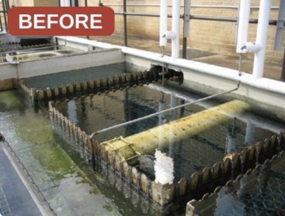 Union City clarifier before treatment: the basin surfaces and walkways are heavily coated with biofilm