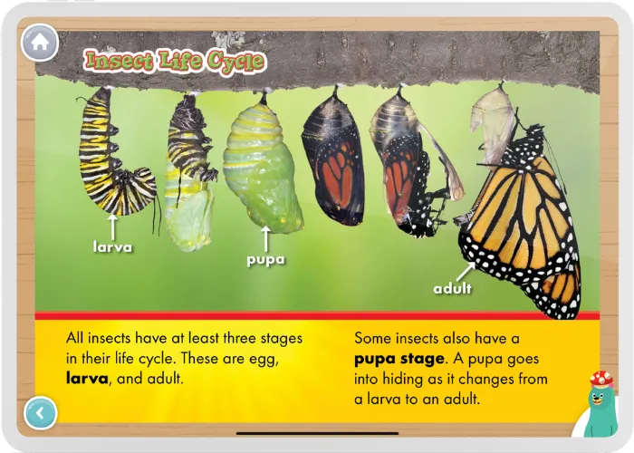 Young girl using the Khan Academy Kids app on a tablet to build early math skills. 