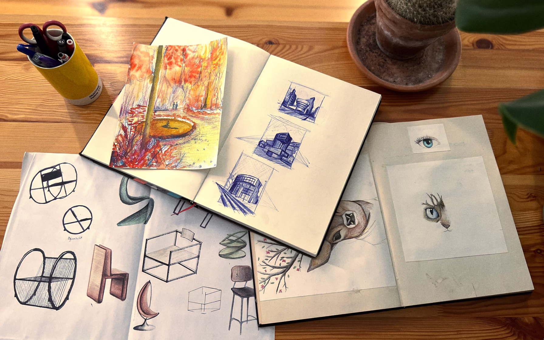 Pictures of drawings in a sketch book