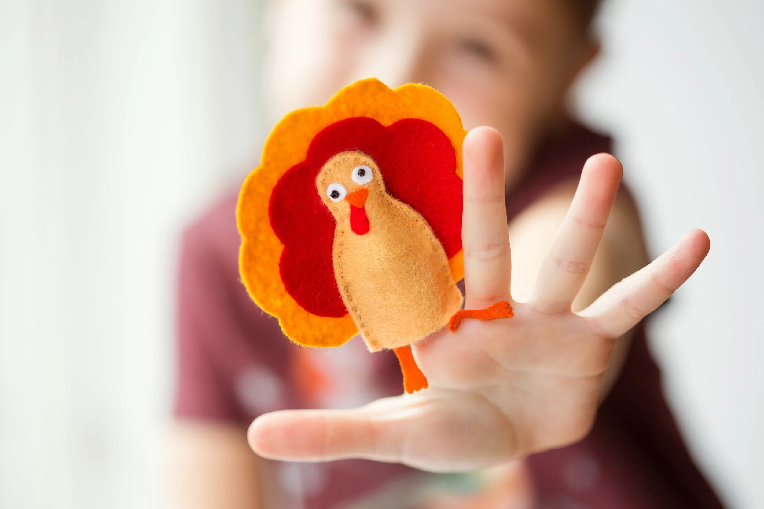 Family Thanksgiving celebration