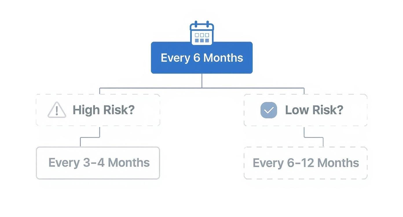 Dental visit frequency flowchart showing every six months with high risk and low risk scheduling options